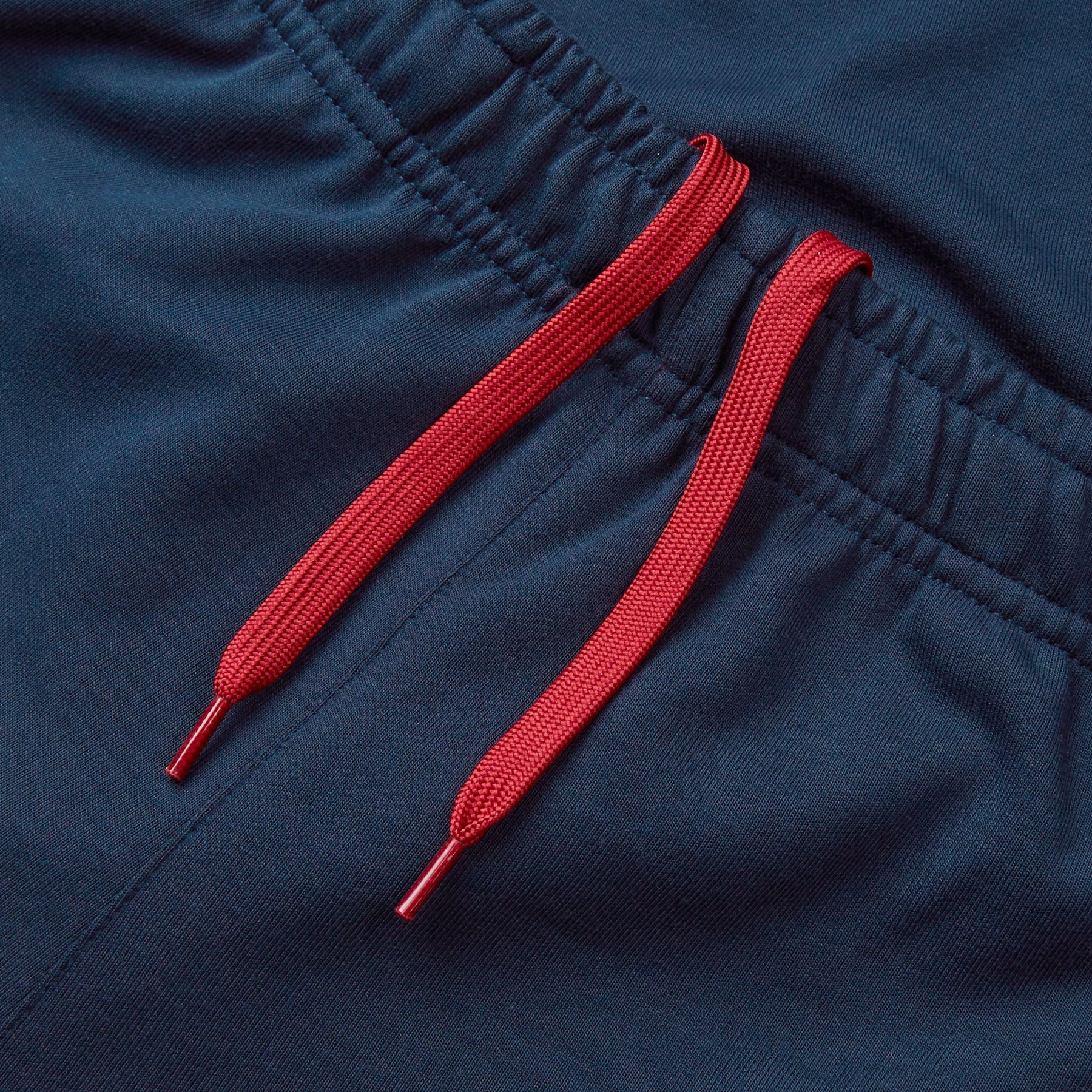 British & Irish Lions Rugby Fleece Training Pant: Navy