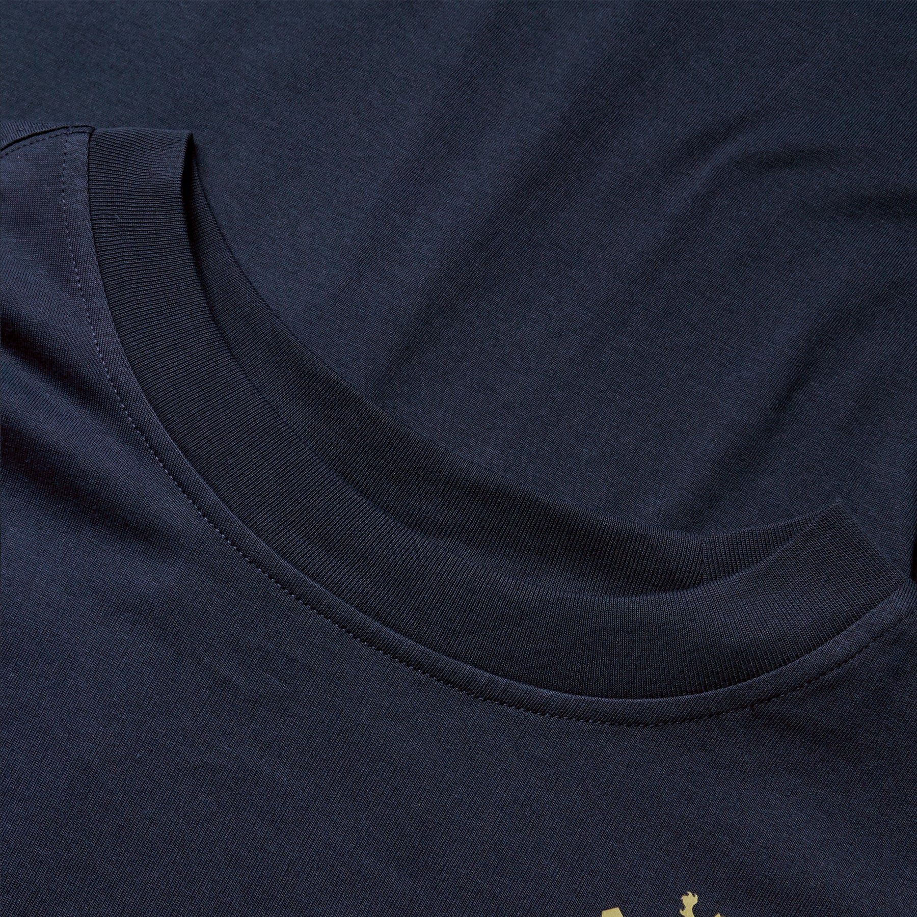 British & Irish Lions Rugby Cotton Jersey Tee: Navy