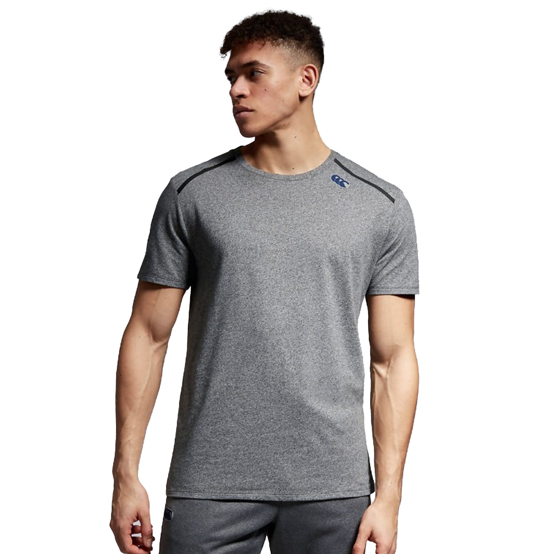 Canterbury Mens Training Tee: Grey