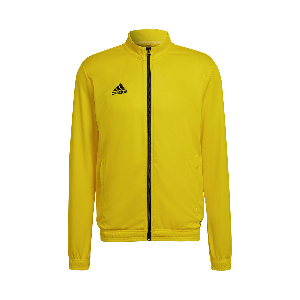 Entrada 22 Track Jacket: team yellow / black