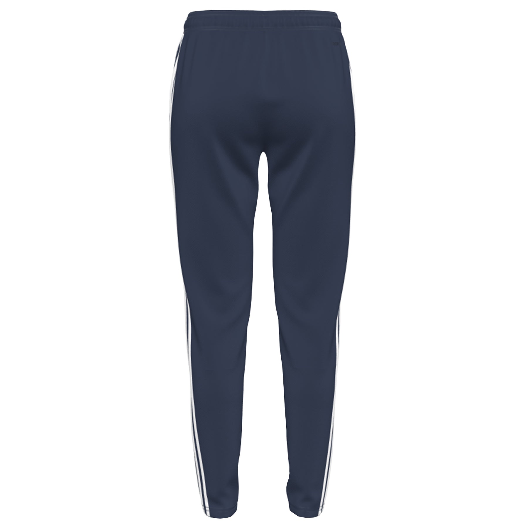 Brighton and Hove HC Women's Training Pants